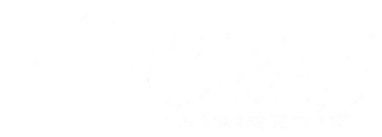 UMB Denetim & Müşavirlik